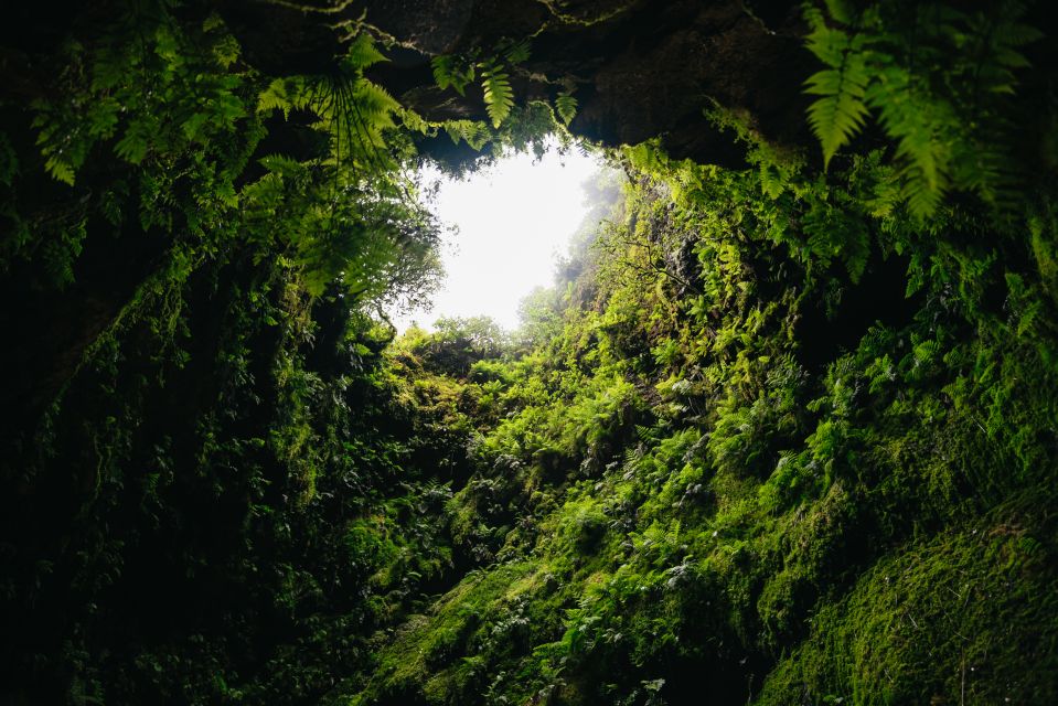 Third: Algar Do Carvão Lava Caves Tour - Frequently Asked Questions