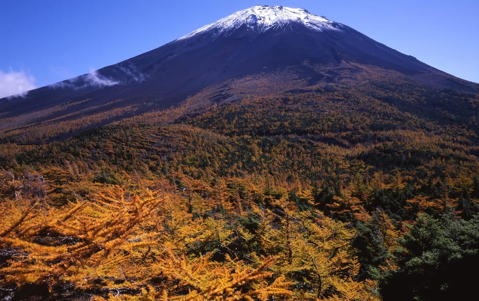 Tokyo: Mt.Fuji Private Sightseeing Tour Eng Speaking Driver - Frequently Asked Questions