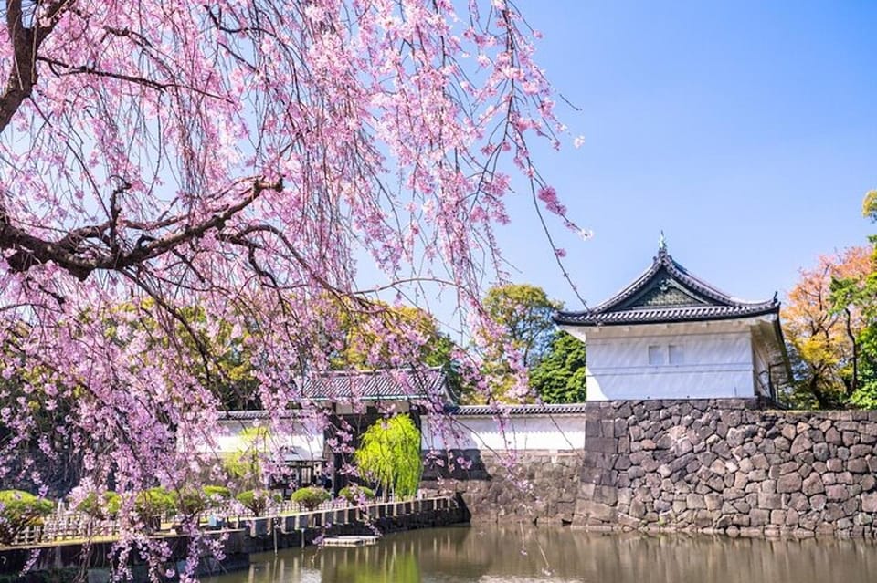 Tokyo: Tokyo Imperial Palace History Private Walking Tour - Recap