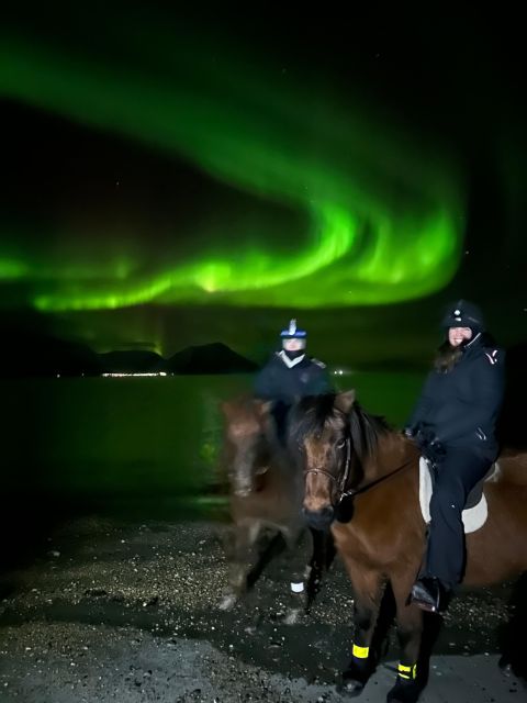 Tromsø: Lyngen Horseback Winter Evening Riding Experience - Frequently Asked Questions