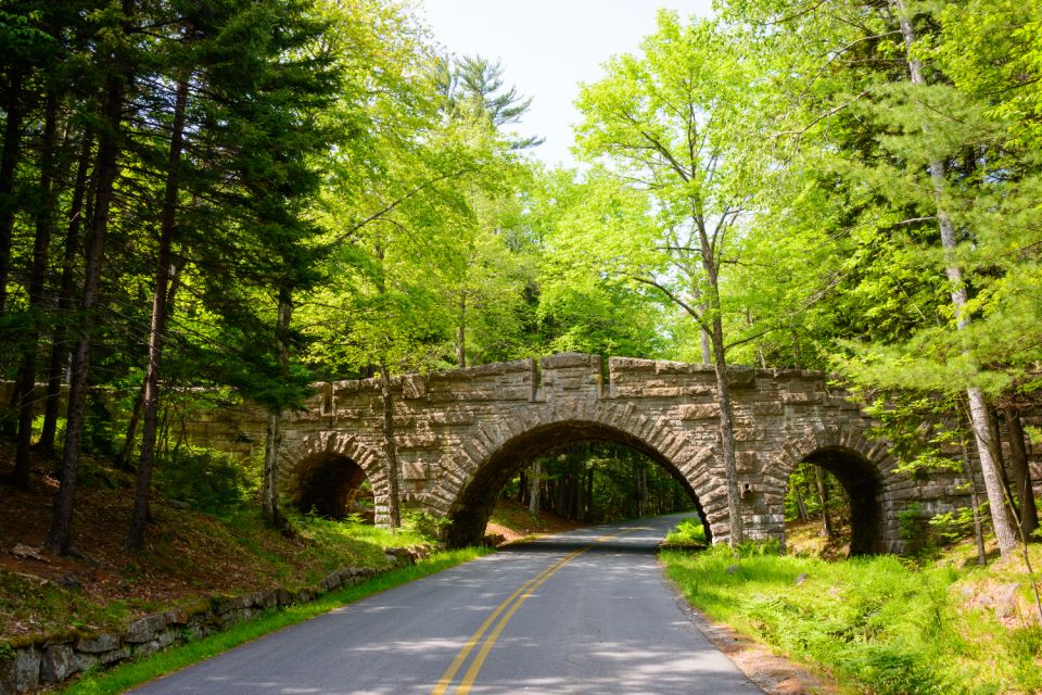 Acadia National Park Self-Guided Driving Tour From Cadillac - Key Points