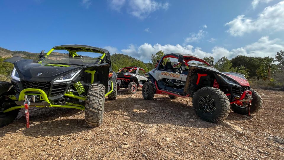 Albir: Buggy Tour Off-Road - Key Points