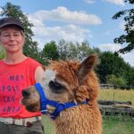 Alpaca Hike In The Barnimer Feldmark Suitability And Participants