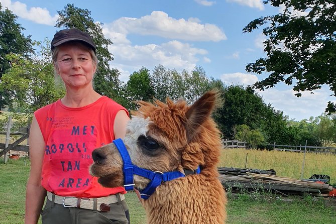 Alpaca Hike in the Barnimer Feldmark - Suitability and Participants