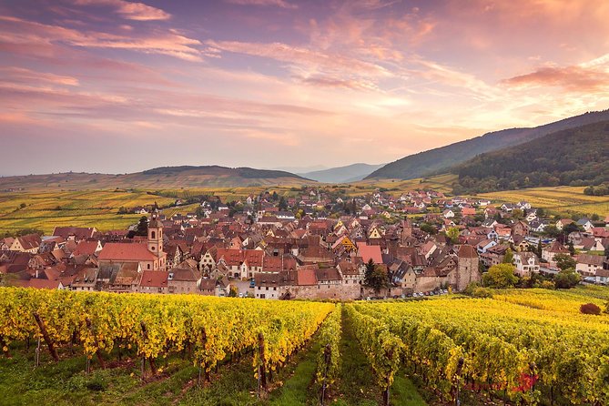 Alsace 4 Wonders Private Full Day Trip - Key Points