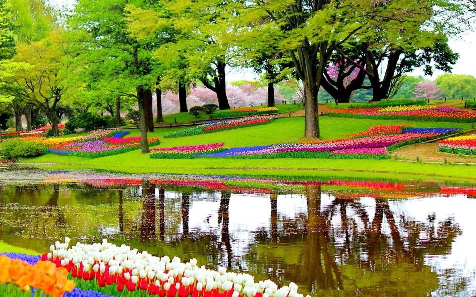 Amsterdam: Private Sightseeing Tour to Keukenhof - Key Points