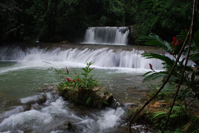 Appleton Estate Admission & Rum Tasting Plus YS Falls Visit - Overview of the Tour