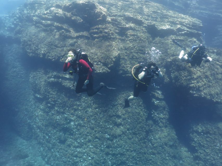 Athens: Private Discover Scuba Diving for Beginners - Key Points