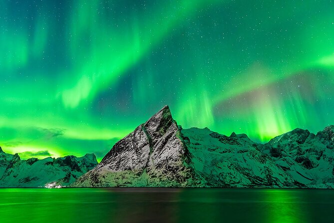 Aurora Hunter - Northern Lights Hunt in Lofoten - Key Points