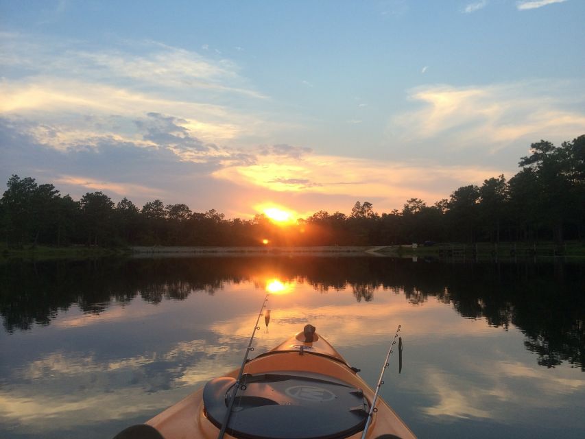 Austin: Sunset Bat Watching Kayak Tour - Key Points