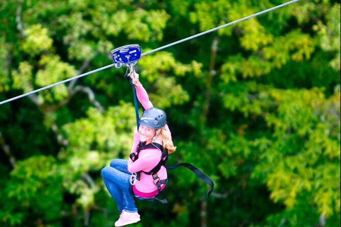 Big Island Zipline Over Kolekole Falls - Key Points