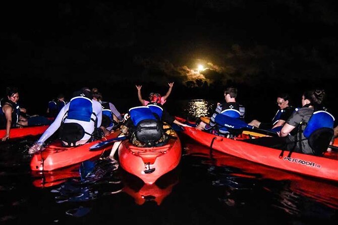 Bio Bay Kayak Tour in Fajardo - Tour Details