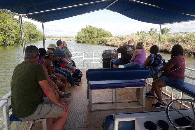 Black River Safari Tour From Montego Bay - Tour Overview