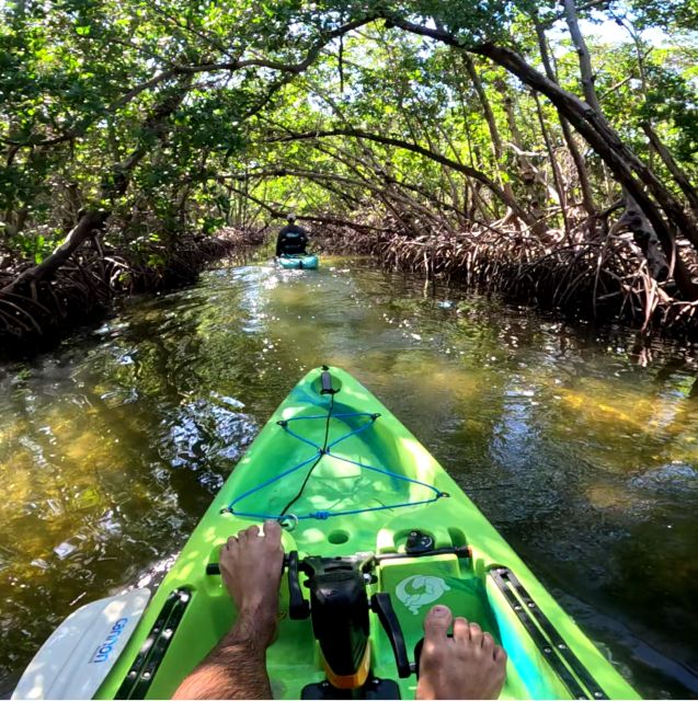 Bradenton: Guided Pedal Kayak Tour - Key Points