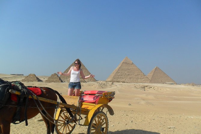 Cairo Transit Tours From Cairo International Airport - Key Points