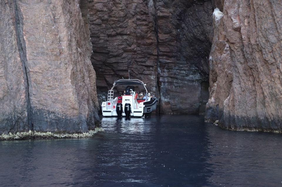 Calvi to Scandola: 4-Hour Boat Tour - Key Points