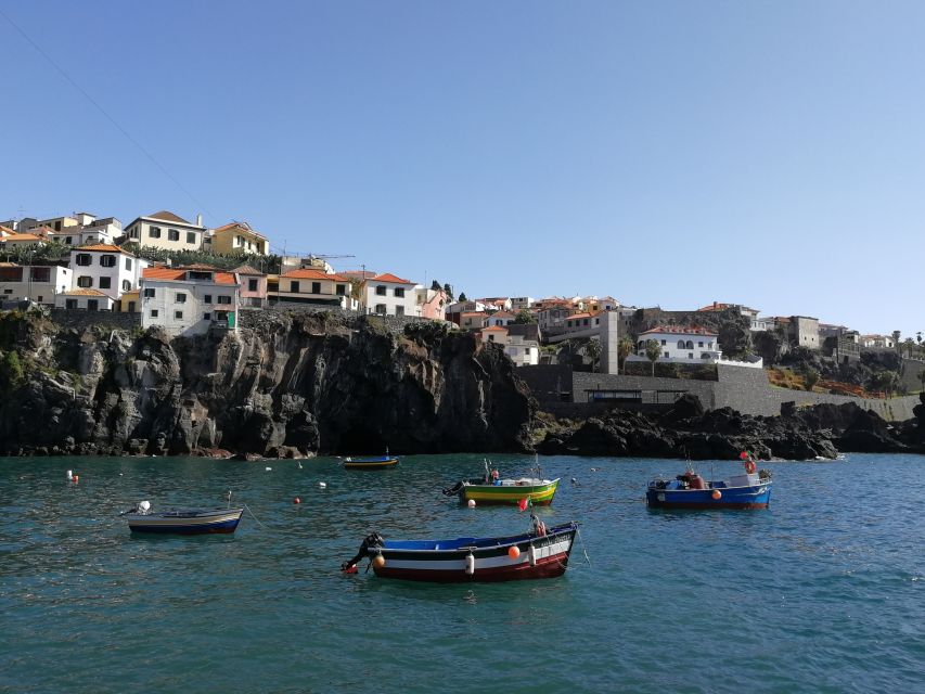 Camara De Lobos: 1.5-Hour Tour in a Tuk Tuk - Key Points