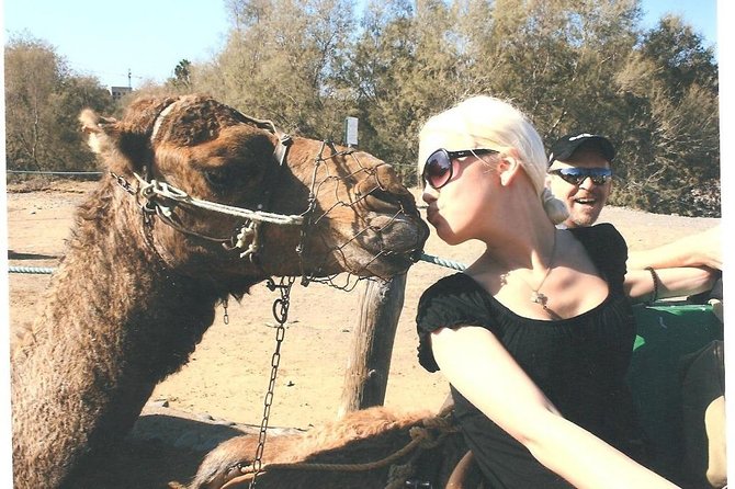 Camel Safari Through the Dunes of Maspalomas - Key Points