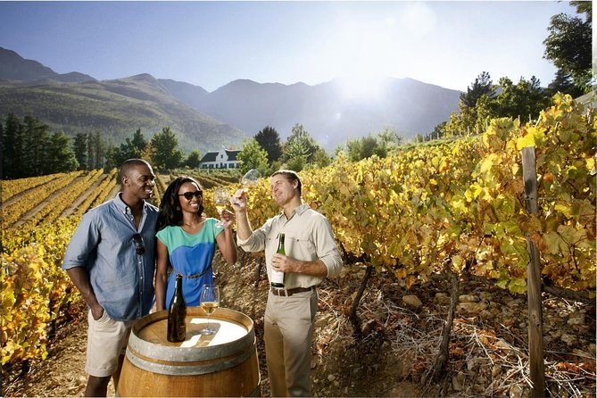 Cape Town Super Saver: Cape Point Tour Plus Wine Tasting in Stellenbosch - Key Points