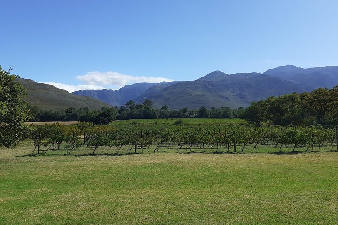 Cape Winelands and Wine Tasting Full Day Tour - Tour Overview