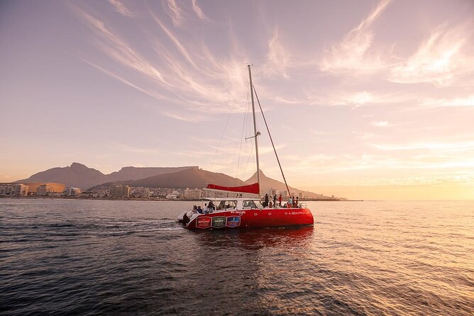 Catamaran Sunset Champagne Cruise Cape Town - Key Points