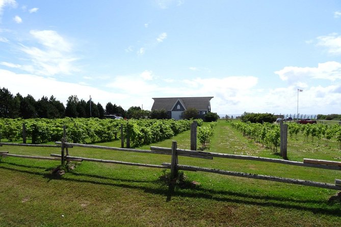 Central PEI Winery, Apiary and Mead Tasting Tour - Key Points