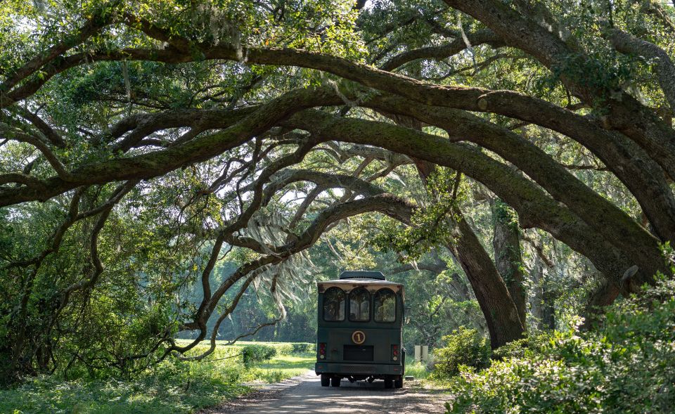 Charleston: Wadmalaw Island Wine Tasting and Tea Garden Trip - Key Points