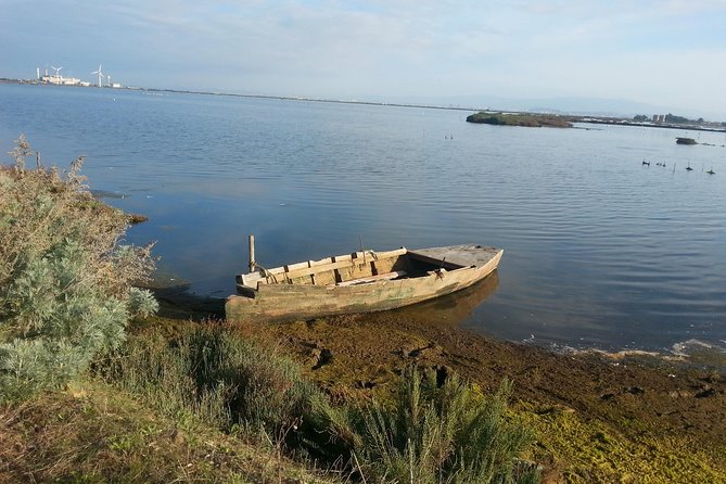 Chia Beaches Tour From Cagliari - Key Points