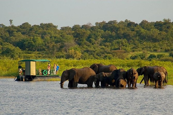 Chobe National Park 4X4 Day Safari and River Cruise - Key Points