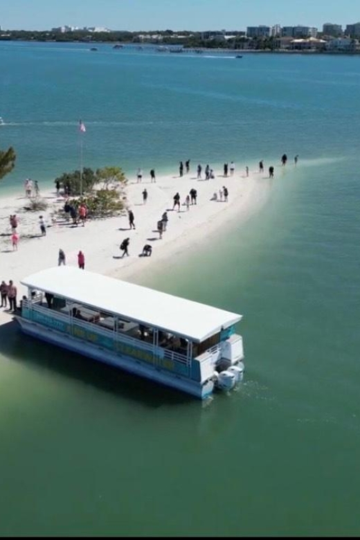 Clearwater Beach: Dolphin and Island Sandbar Boat Tour - Key Points