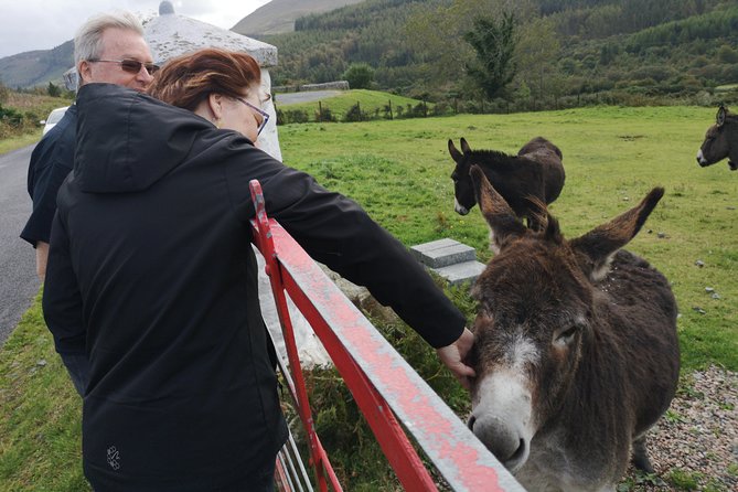 Cliffs of Moher & Galway Bay - History, Music & Fun! - Key Points