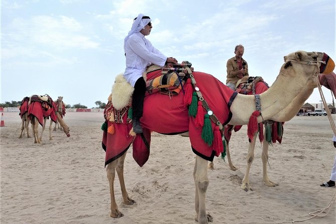 Combo Culture North Qatar and Desert Safari Tour - Visiting Al Khor and Al Thakhira