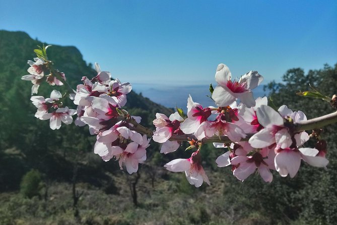 Costa Blanca Guided Walk - Key Points