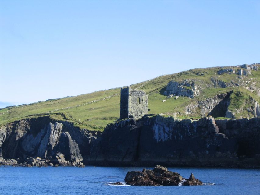 County Cork: Whale & Dolphin Watching Boat Trip - Key Points