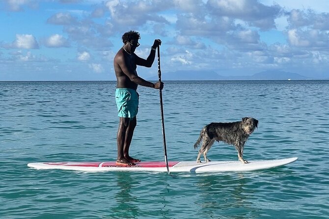 Crabbe Hill Beach Private Sunset Paddleboard - Key Points