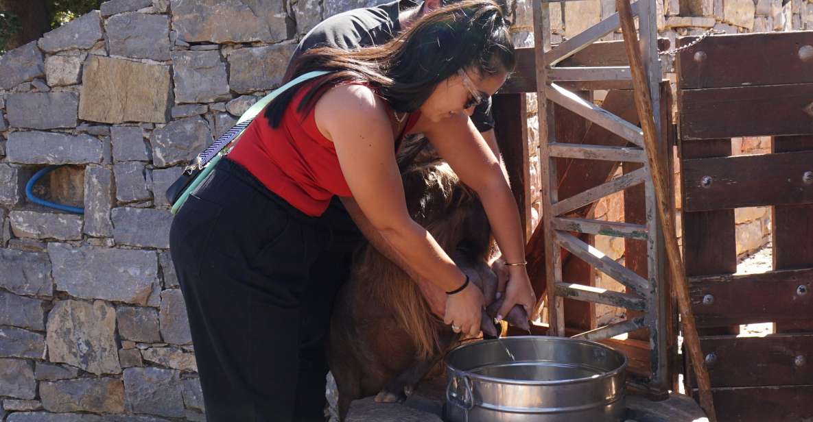 Crete: Shepherd'S Life & Psiloritis Mountain Tour With Meal - Key Points