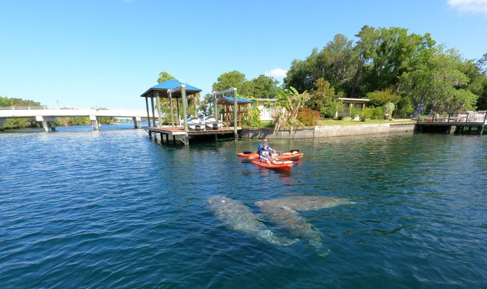 Crystal River: Kayak Rental - Key Points