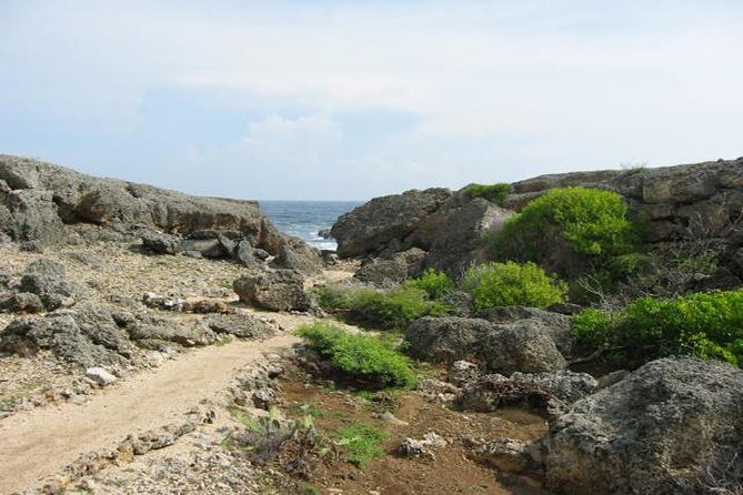 Curacao Complete Island Tour - Top Landmarks