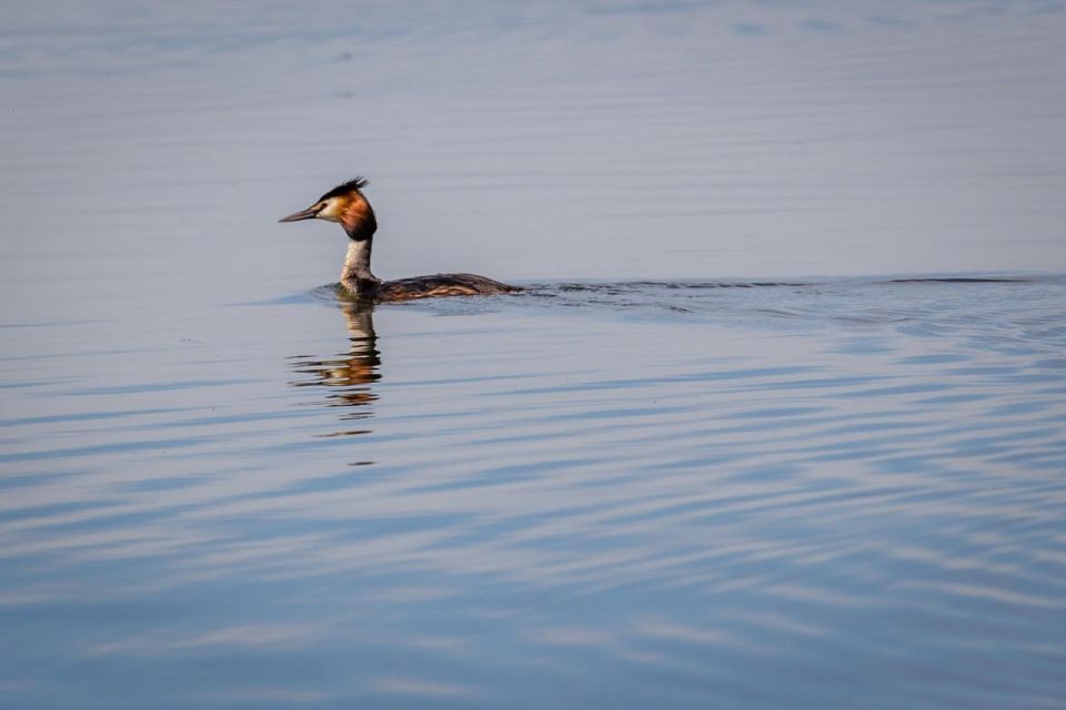 Danube Delta - 2-Day Tour From Bucharest - Key Points