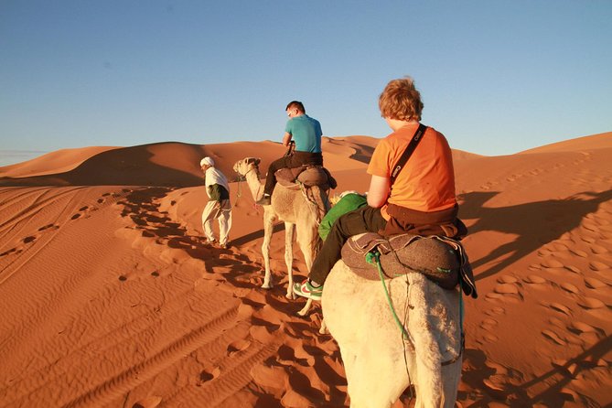 Day Trip to Erg Chigaga Dunes From Zagora - Key Points