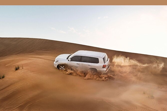 Desert Safari In Dubai With 4x4 Pick & Drop & Live Show - Key Points