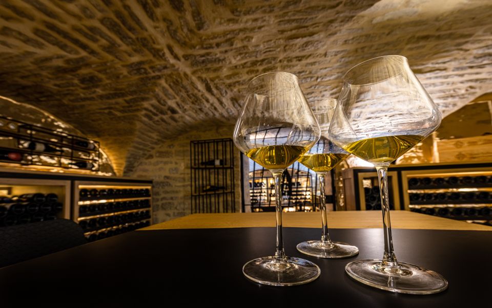 Dijon: The Burgundy Wine Tasting Experience at the Palace Cellar - Key Points