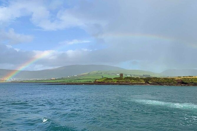 Dingle Bay Cliff Tour Meeting And Pickup