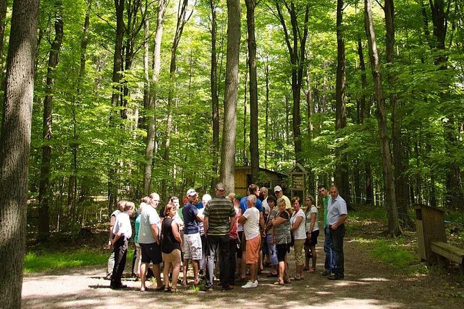 Discover Maple Sugar Bush Tour - Key Points