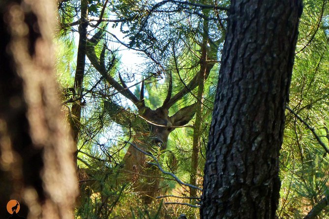 Discovering Nature in Serra Da Lousã - Overview of Serra Da Lousã