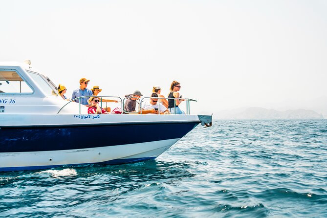 Dolphin Watching in Muscat - Key Points