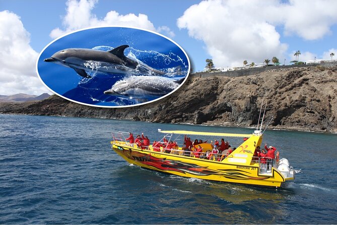 Dolphin Watching Mini Cruise and Snorkeling From Lanzarote - Key Points