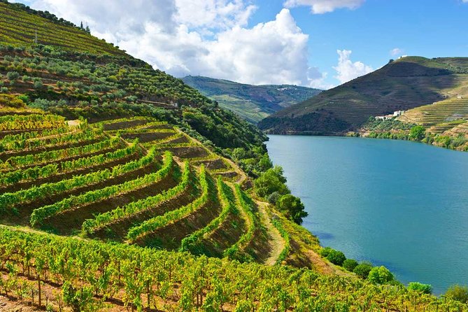 Douro Valley Full-Day Private Tour From Porto - Key Points