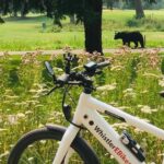 Ebike Adventure In Whistler Key Points