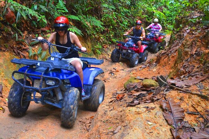 El Yunque Rainforest — ATV Adventure - Key Points